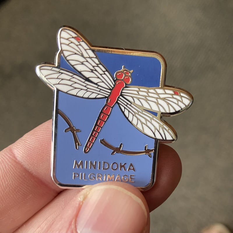Dragon Fly pins hard enamel